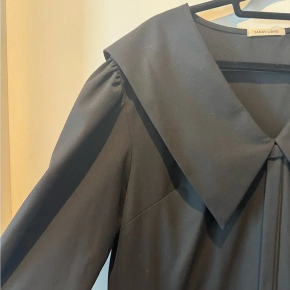 Sandy Liang Kismet Dress, NWT, size L - Picture 9 of 11